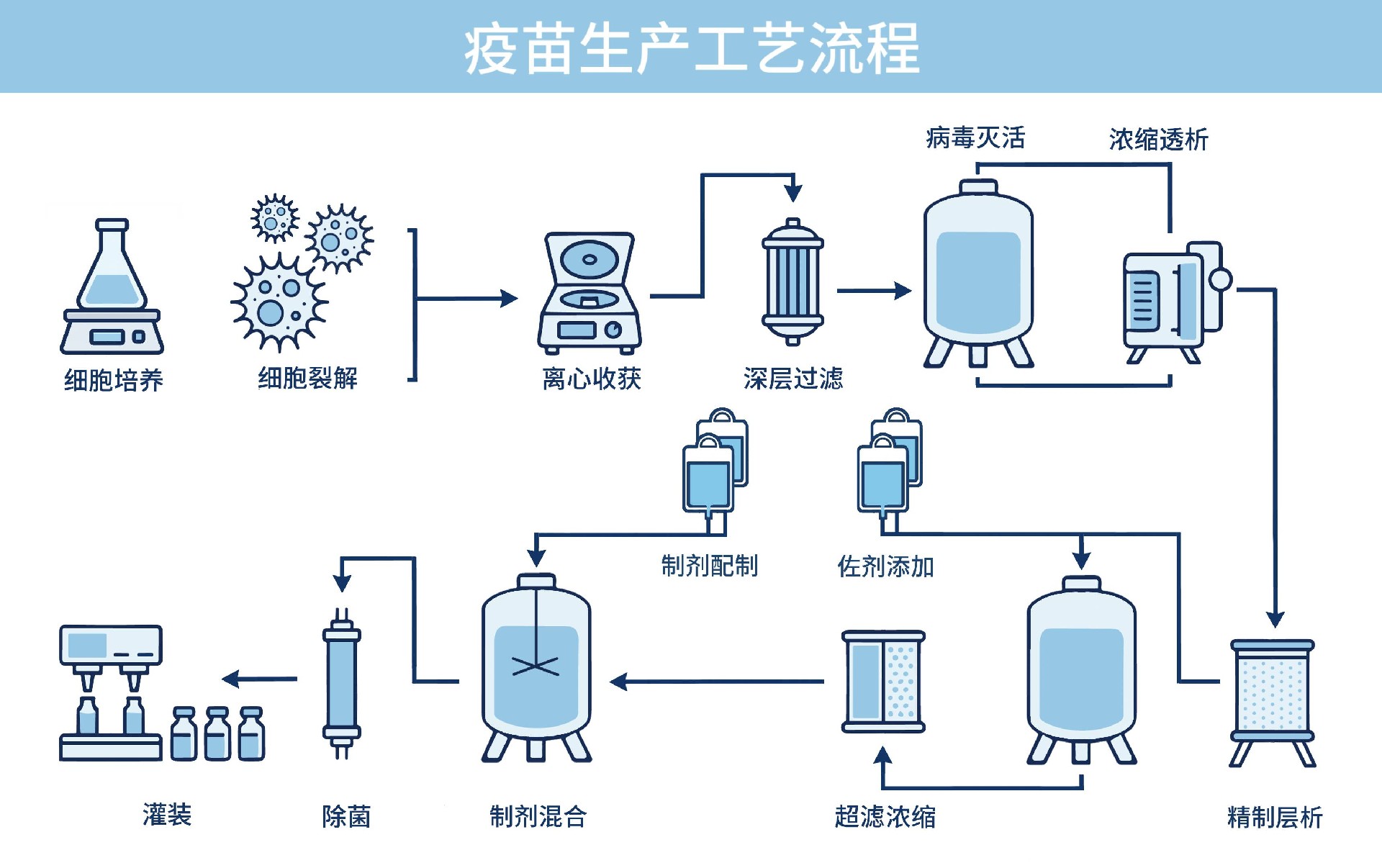 疫苗生產工藝流程.jpg