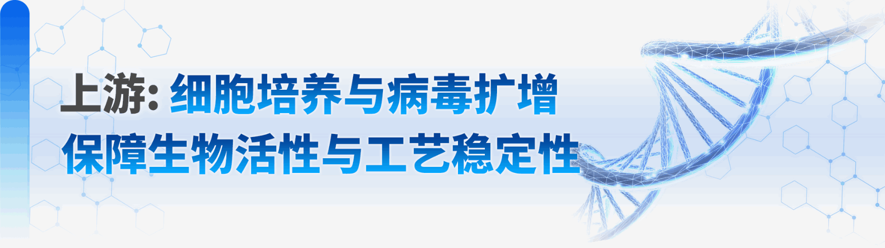 上游.png